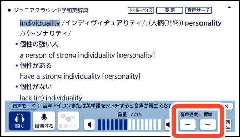 Adjust_The_Volume 002 SA2900